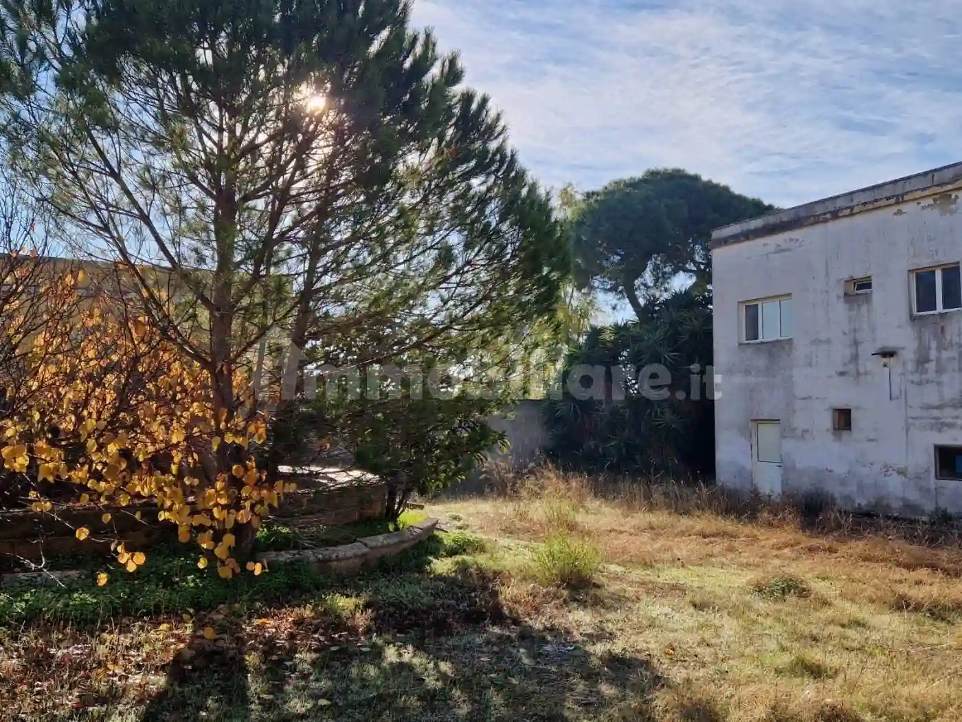 Palazzo - Edificio - foto 3