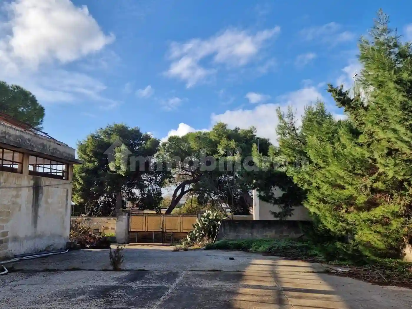 Palazzo - Edificio - foto 5