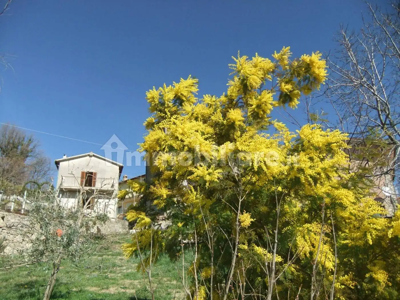 Casa indipendente in vendita a Montenero Sabino