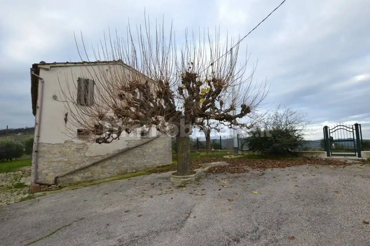 Rustico - Casale in vendita a Staffolo