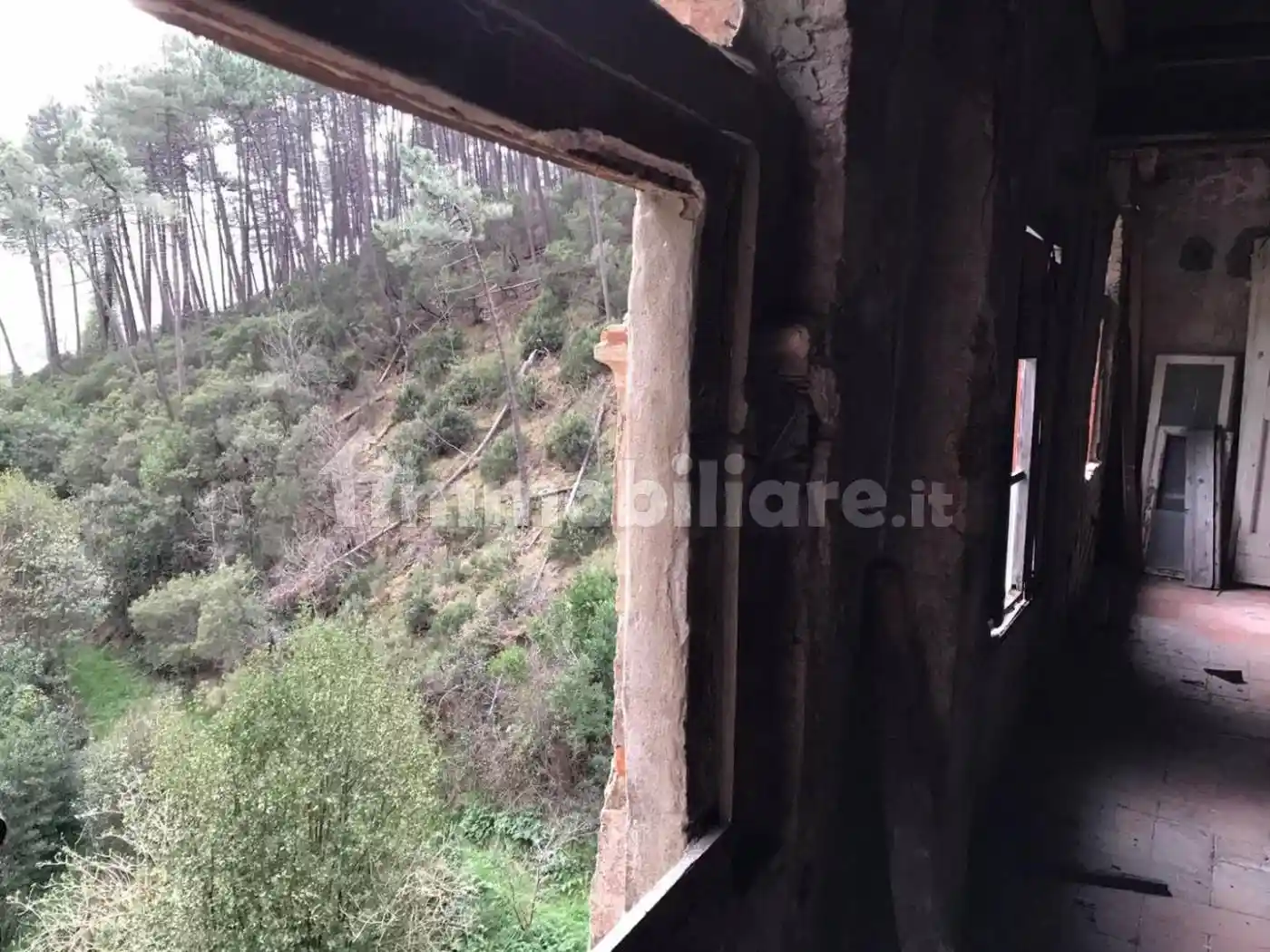 Rustico - Casale in vendita a Calci