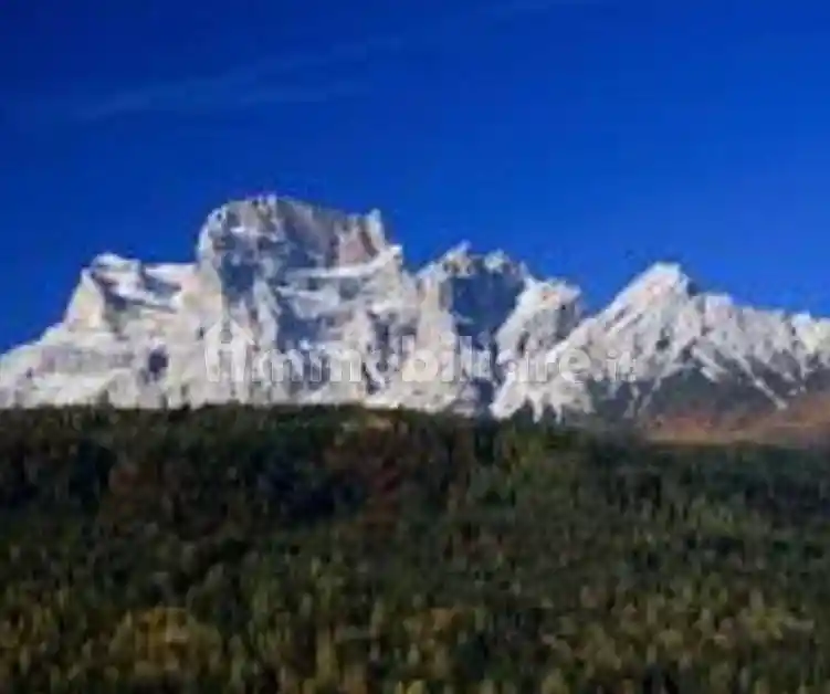 Appartamento in vendita a Borca di Cadore