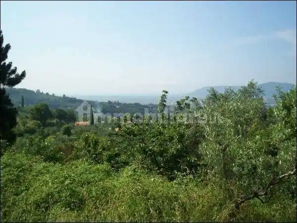 Rustico - Casale in vendita a Fosdinovo