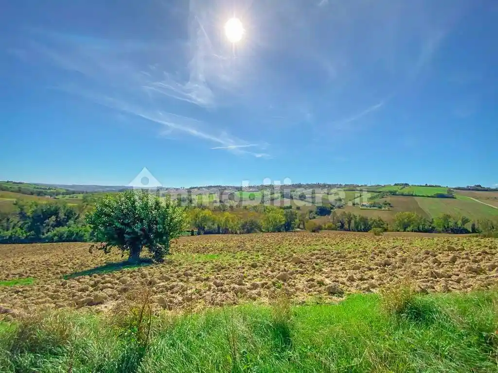 Rustico - Casale in vendita a Jesi