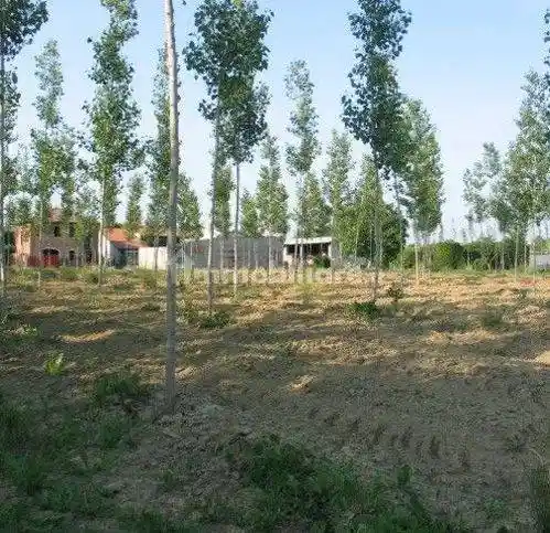 Rustico - Casale in vendita a Massanzago