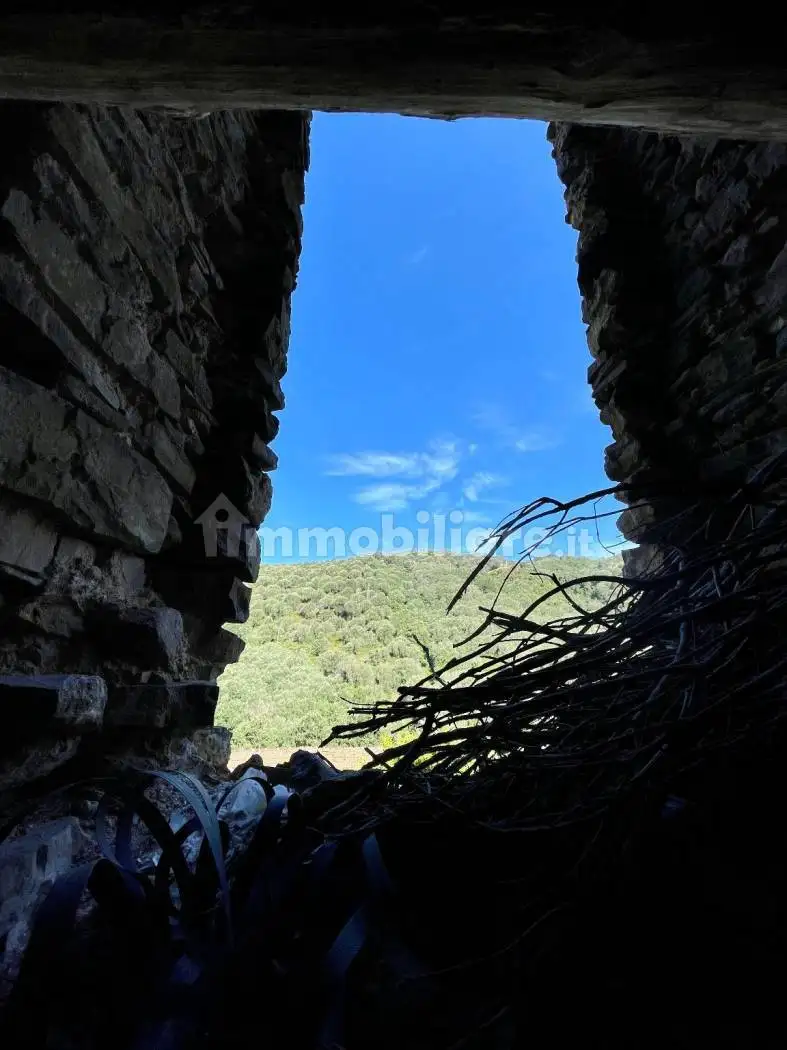 Rustico - Casale in vendita a Pisciotta