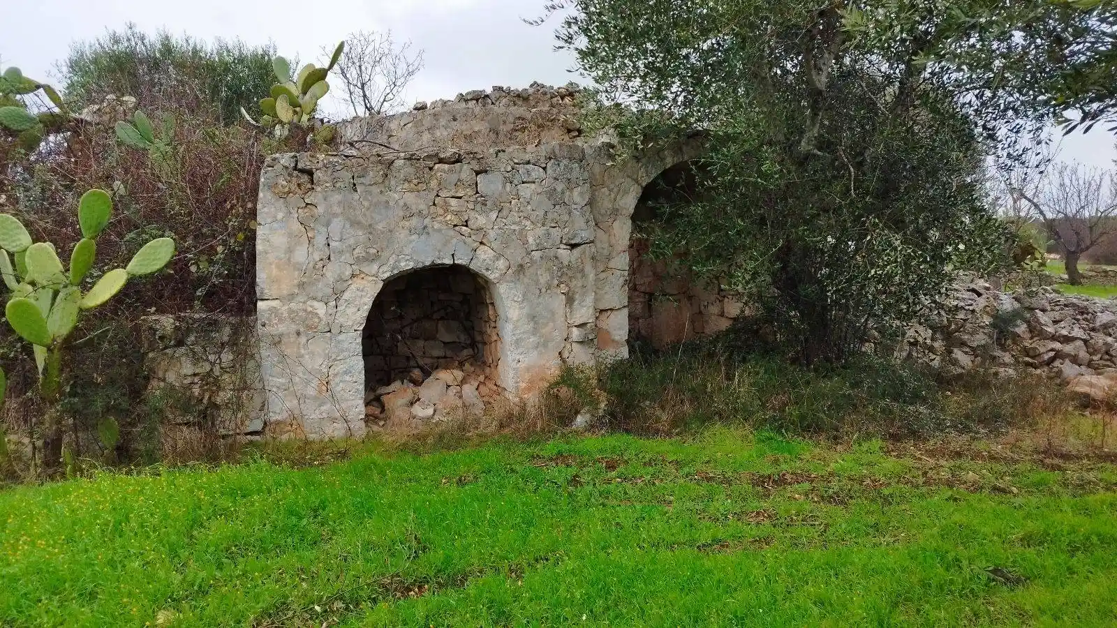Rustico - Casale in vendita a Ostuni