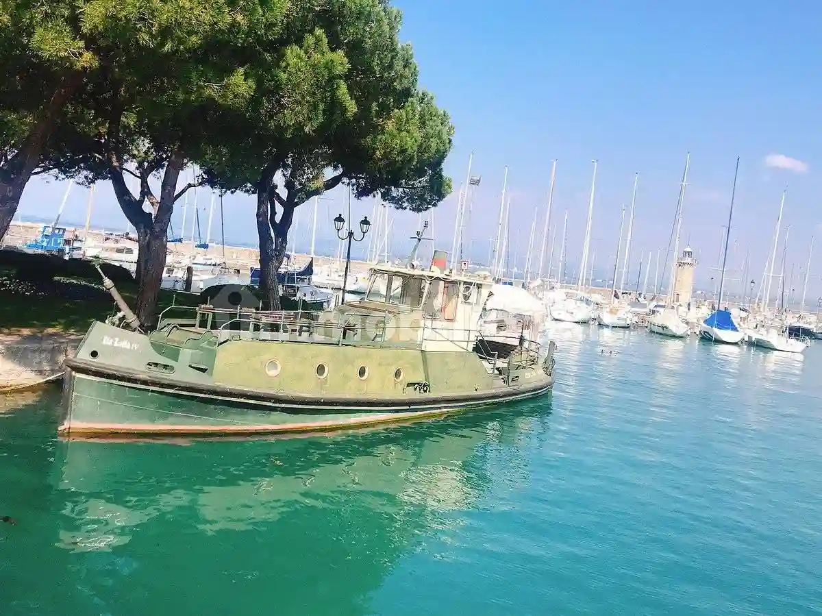 Palazzo - Edificio - foto 3