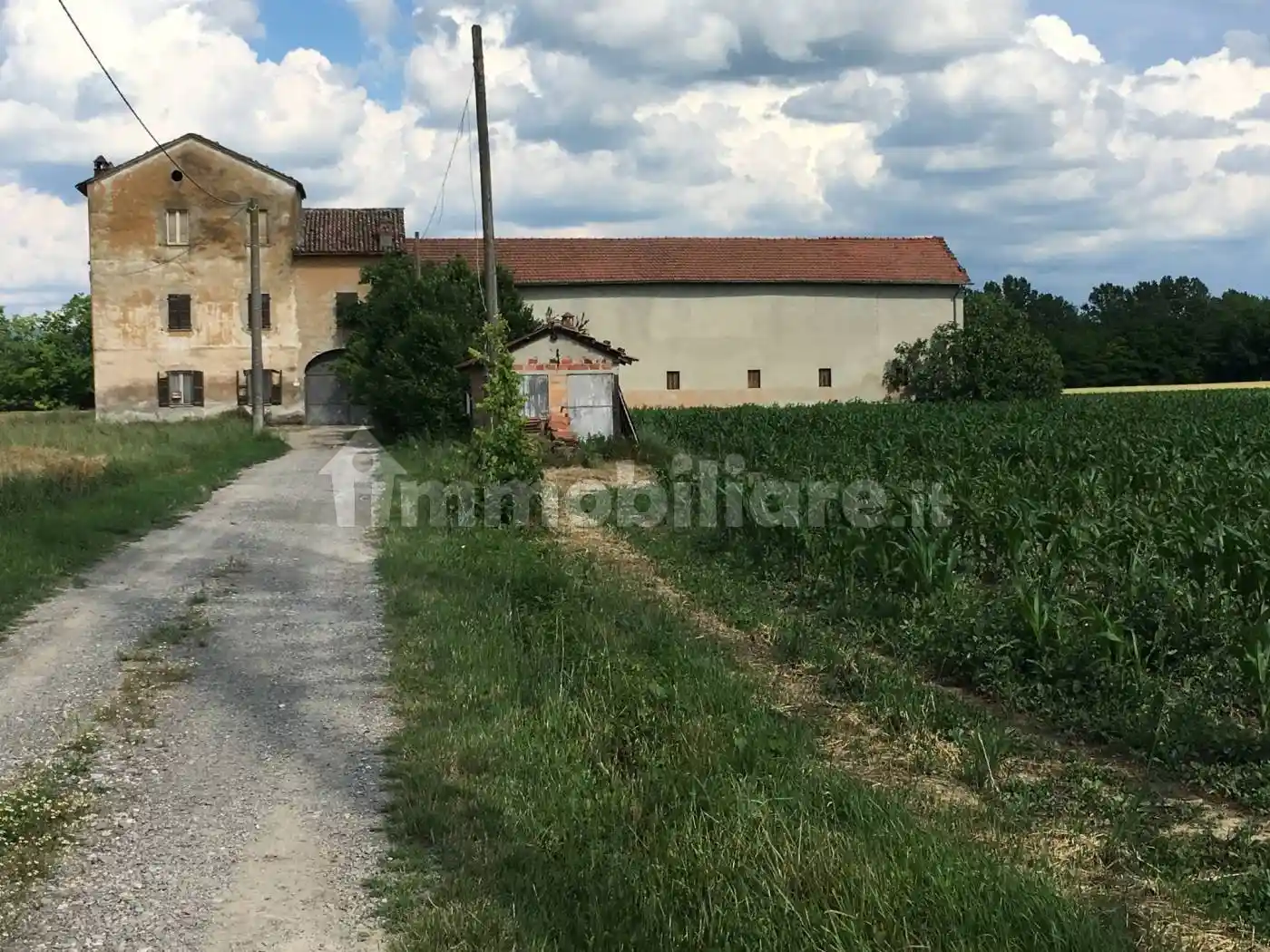 Rustico - Casale - foto 5