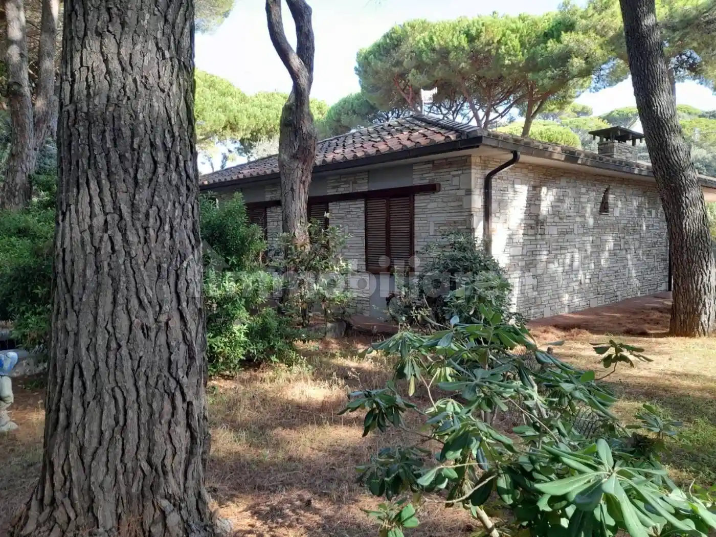 Villa in vendita a Castiglione della Pescaia