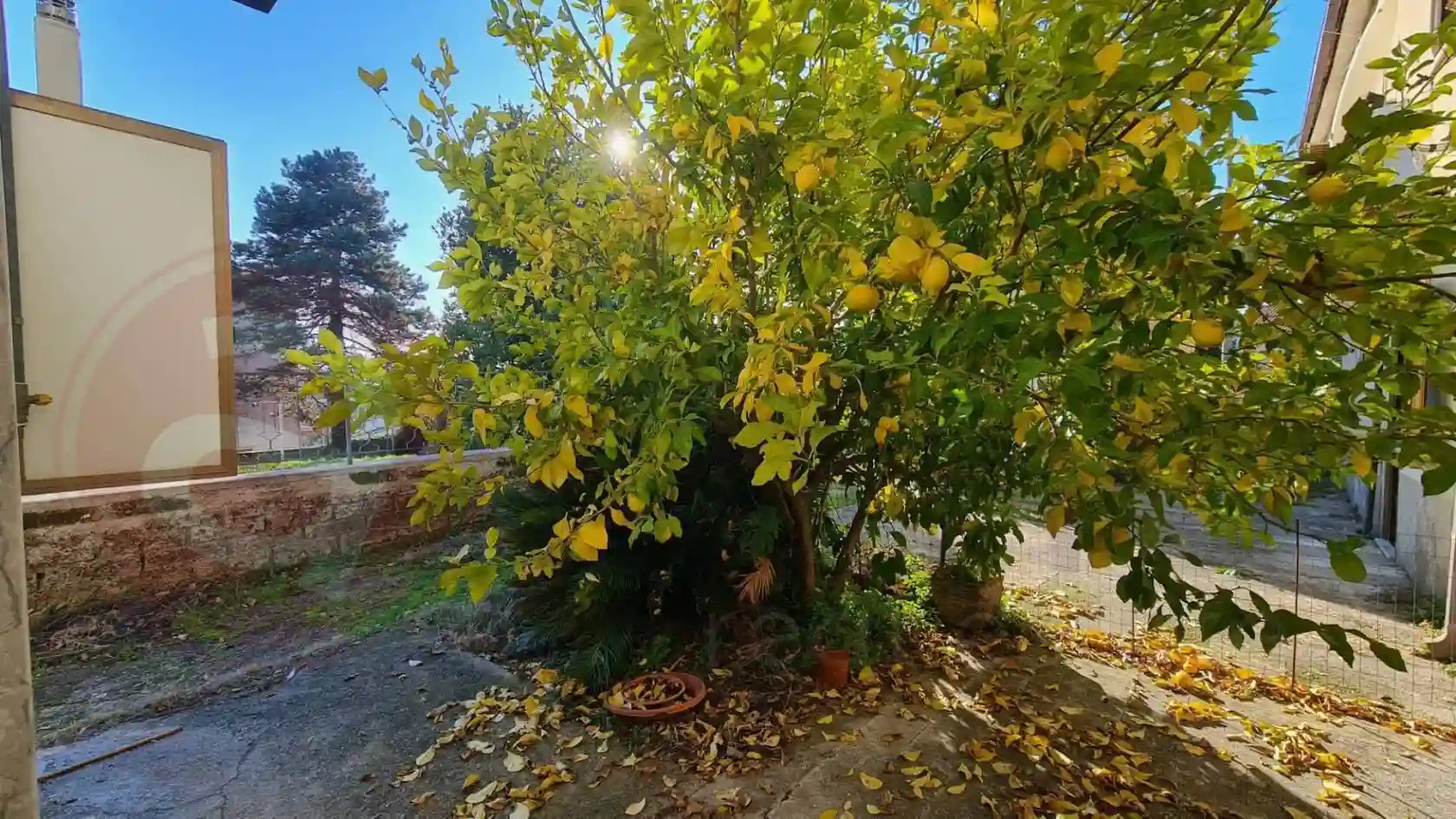 Palazzo - Edificio - foto 5