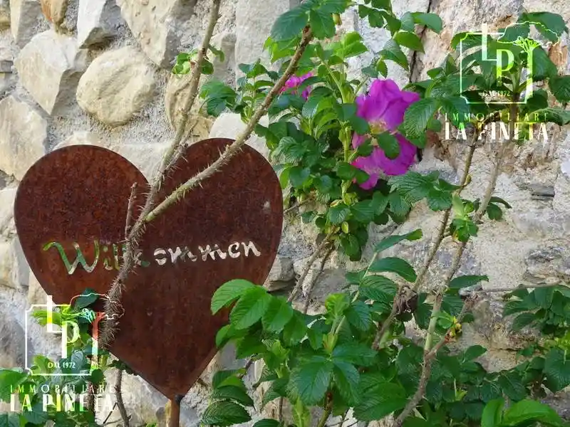 Rustico - Casale in vendita a Gallicano