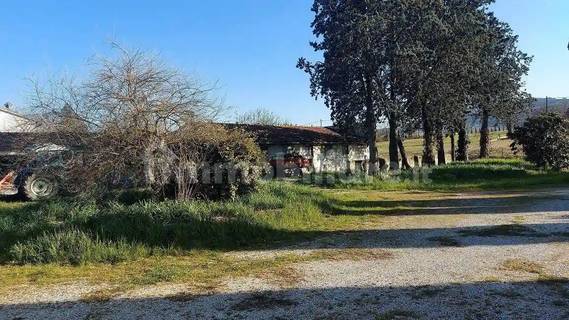 Palazzo - Edificio - foto 4