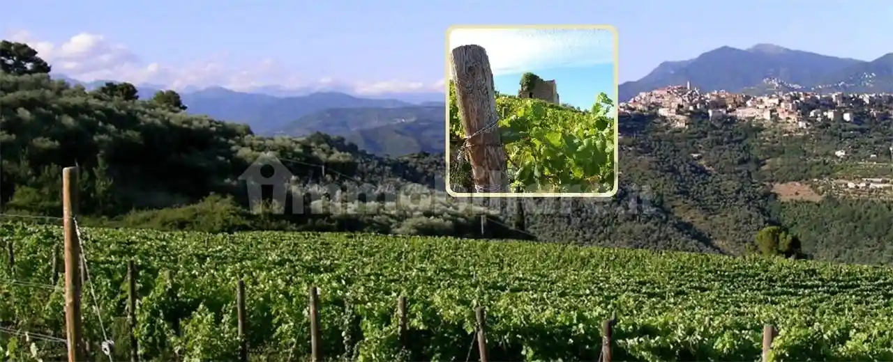 Villa in vendita a Perinaldo