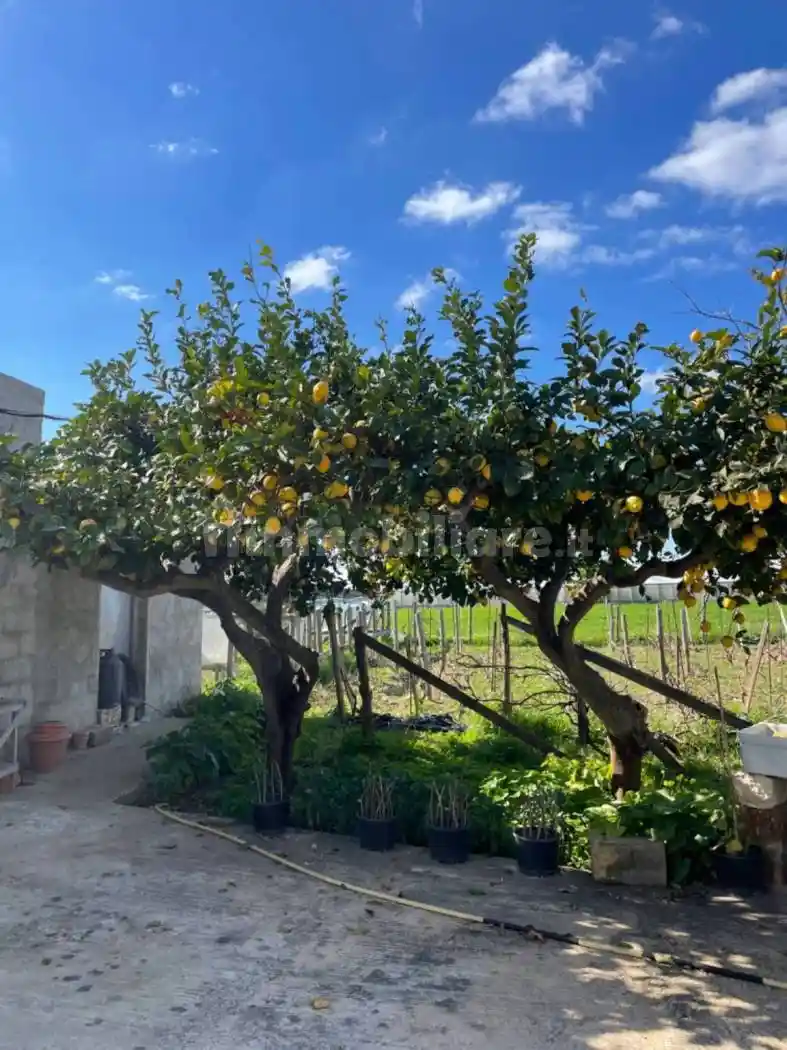 Rustico - Casale in vendita a Scicli