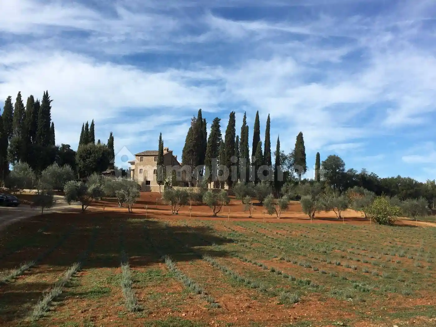 Rustico - Casale in vendita a San Gimignano