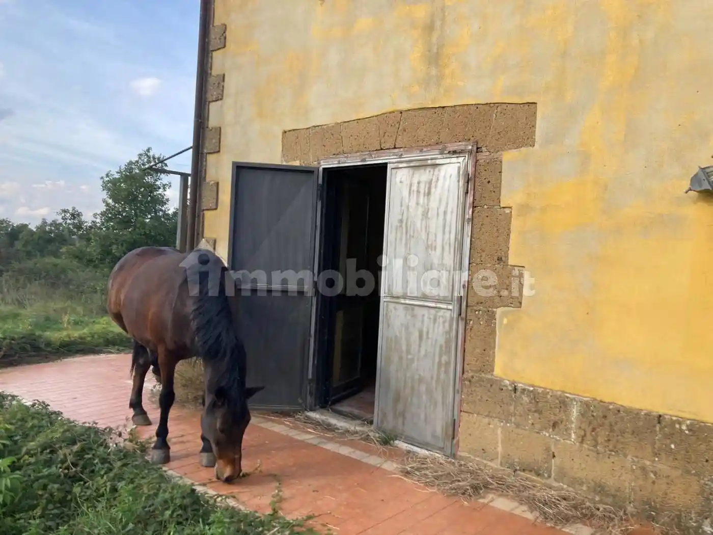Rustico - Casale in vendita a Ischia di Castro