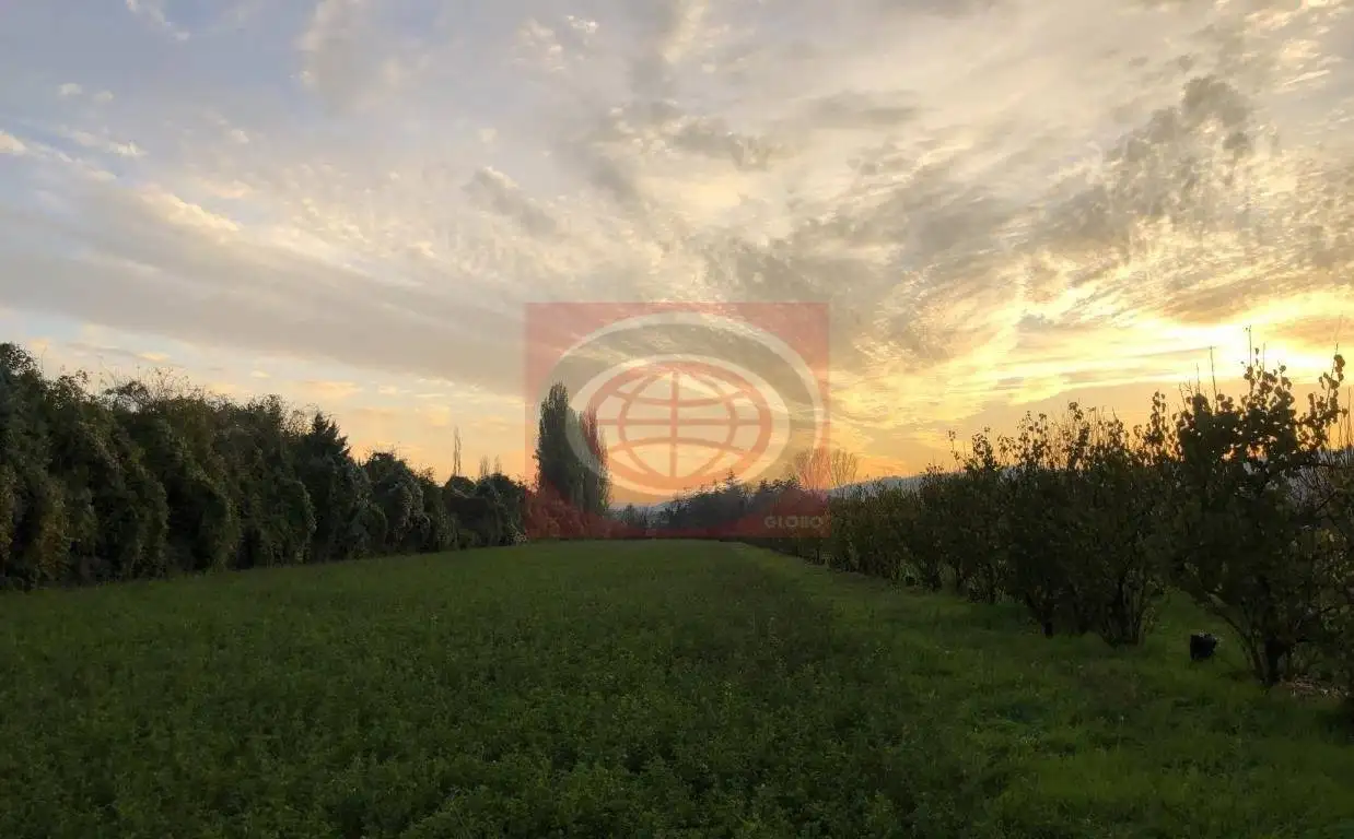 Casa indipendente in vendita a Cesena