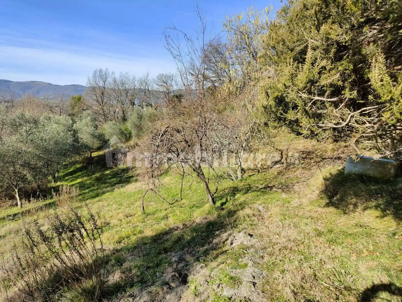 Rustico - Casale in vendita a Genova