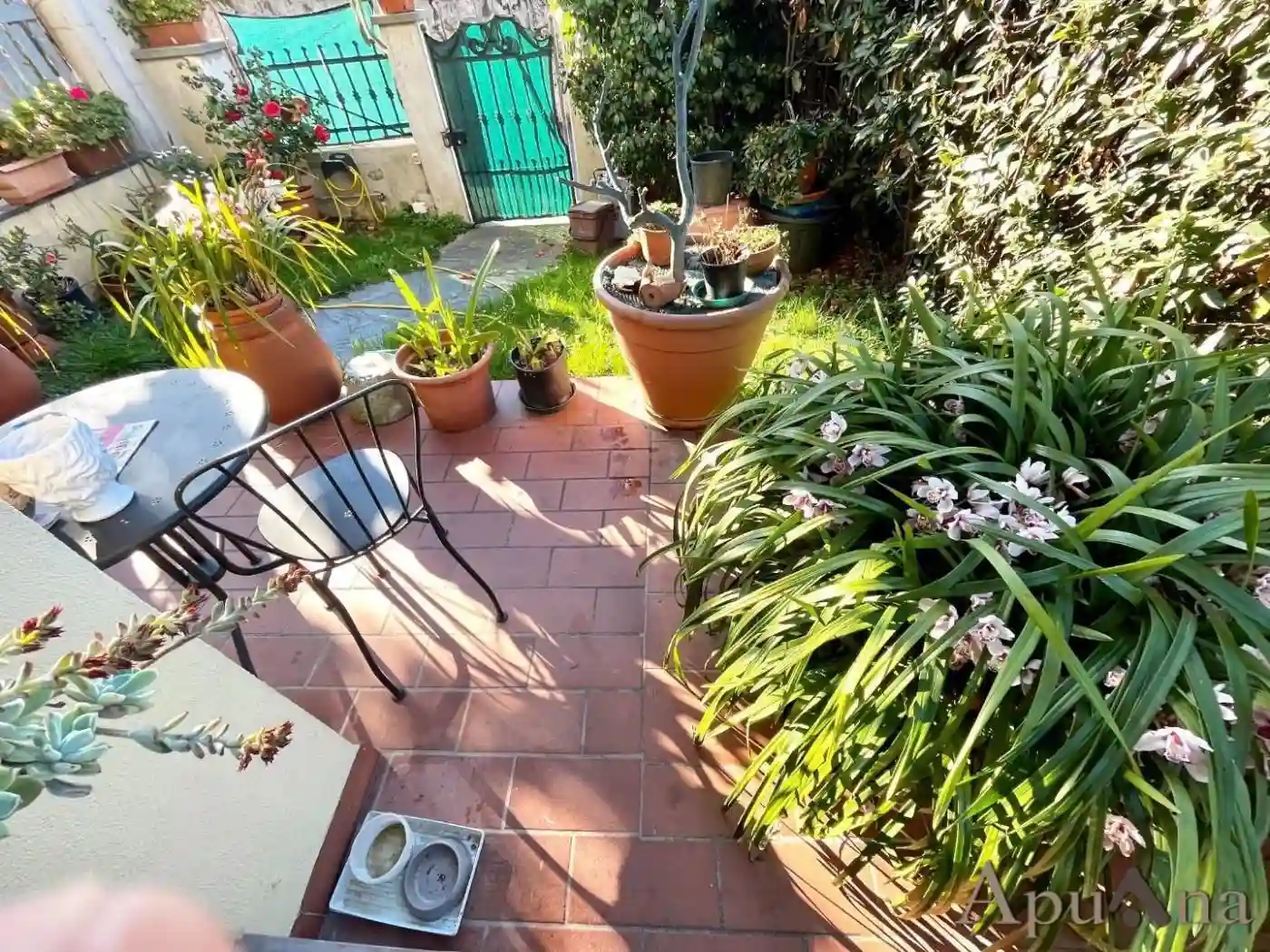 Villetta a schiera - foto 5