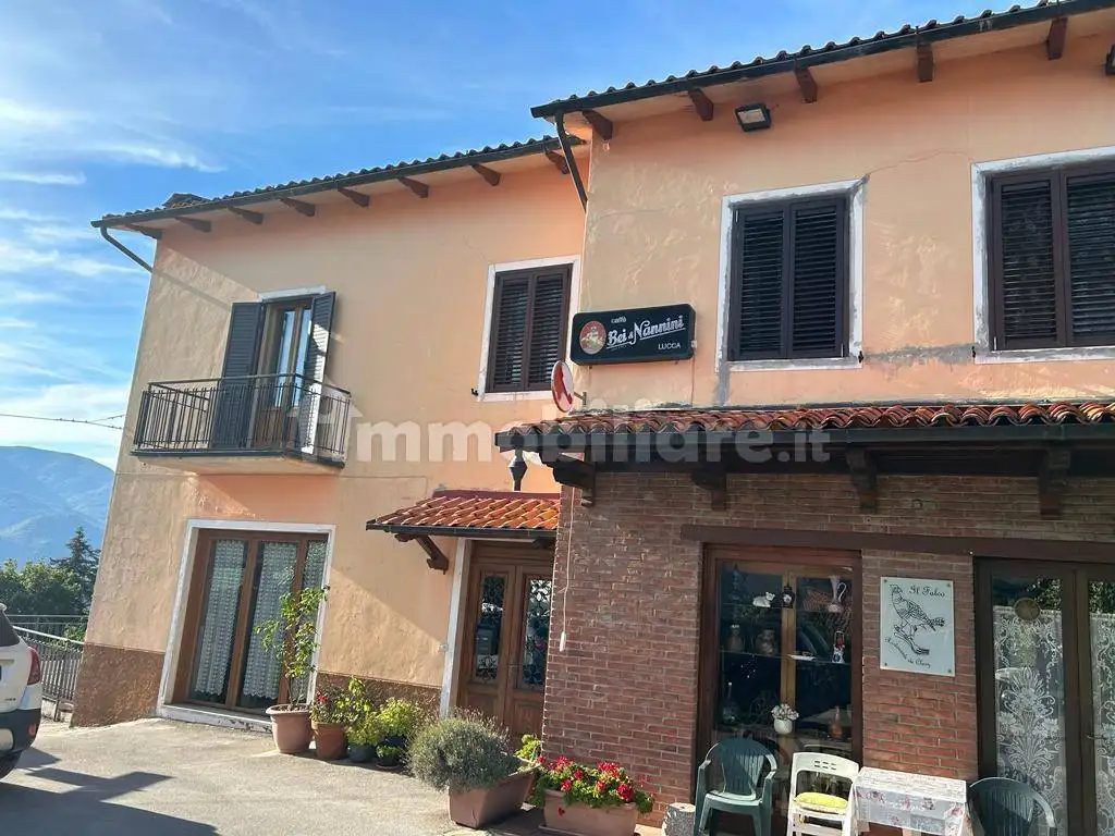 Palazzo - Edificio in vendita a Molazzana