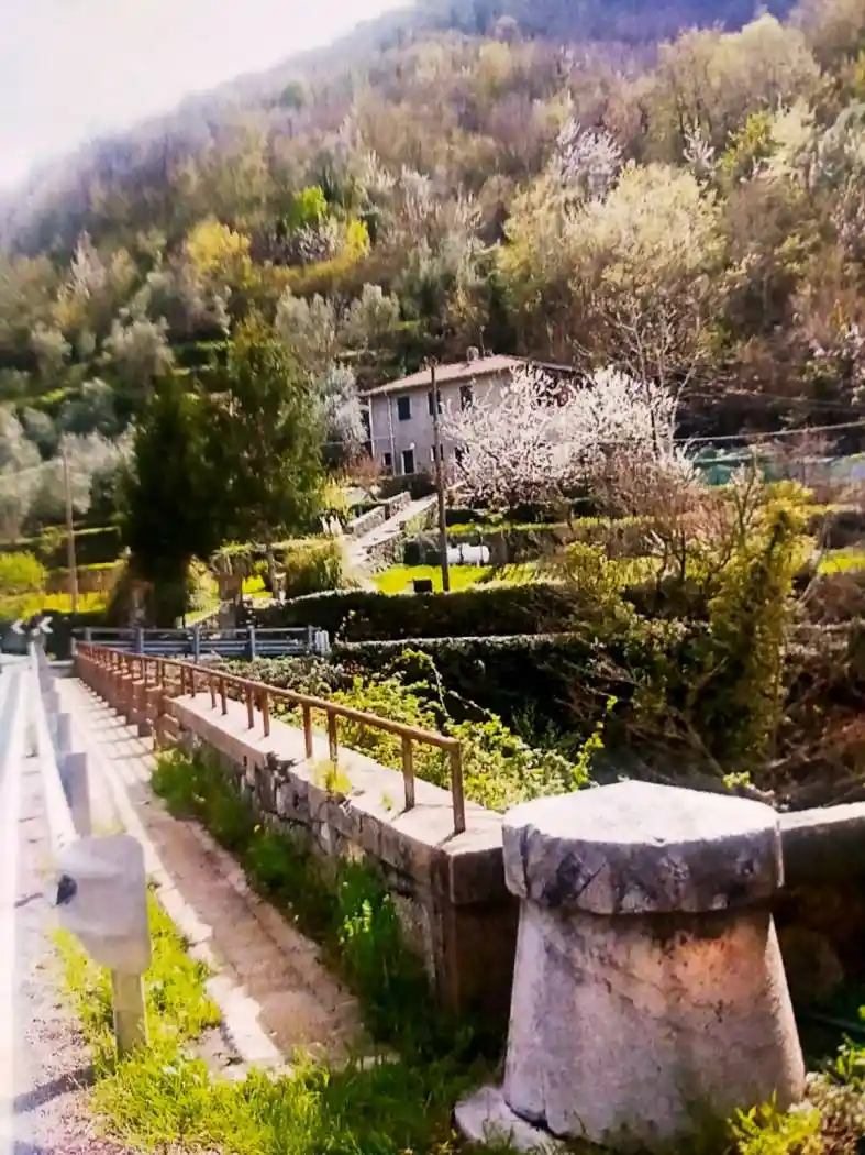 Rustico - Casale in vendita a Pieve di Teco