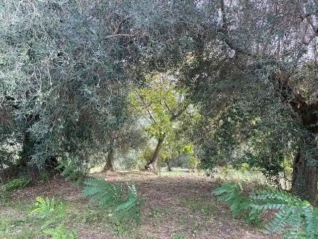 Terratetto unifamiliare via Cappella, 1, Castelpoto - foto 4