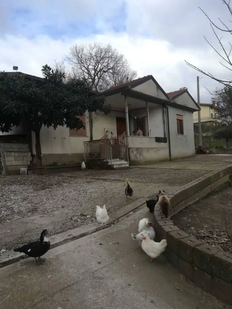 Villa in vendita a Montemiletto