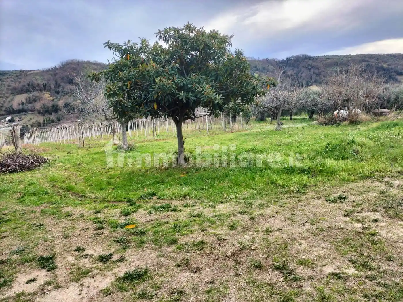 Rustico Strada Comunale delle Pratole, Miglianico - foto 4
