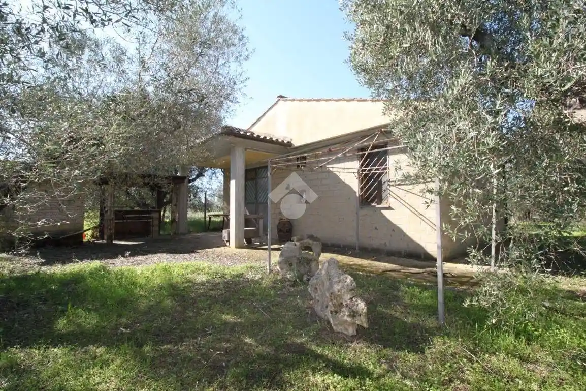 Rustico - Casale in vendita a Canino