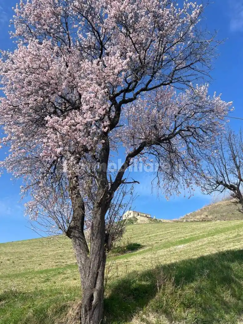 Rustico - Casale in vendita a Ripatransone