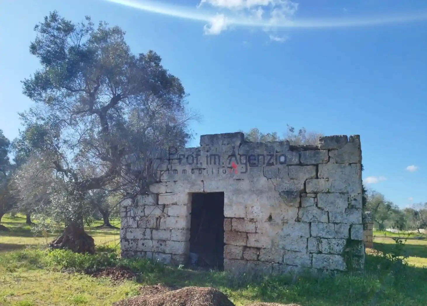 Rustico - Casale in vendita a San Vito dei Normanni