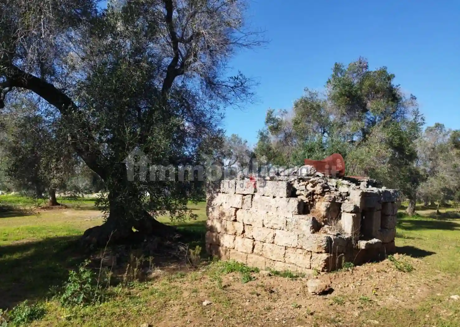 Rustico - Casale - foto 3