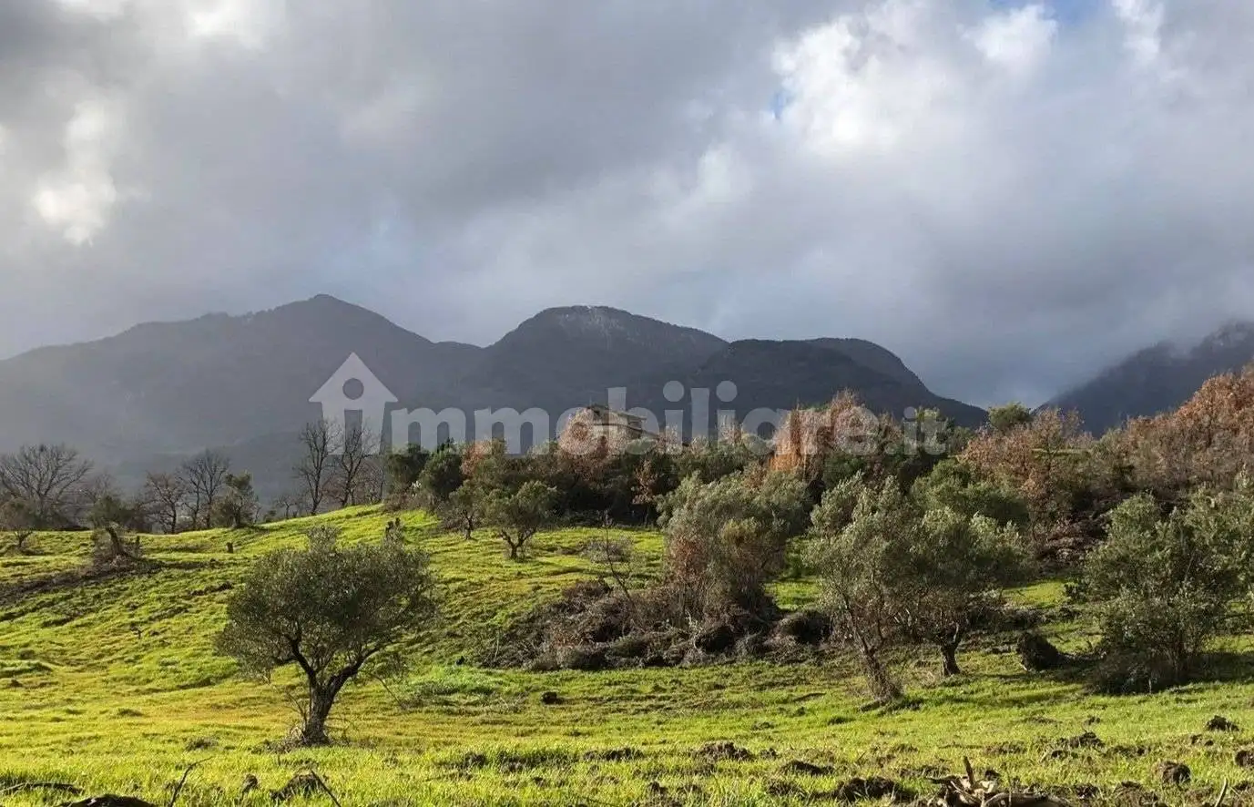 Rustico - Casale in vendita a San Sosti