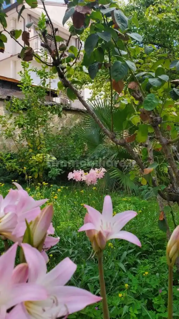 Palazzo - Edificio - foto 3