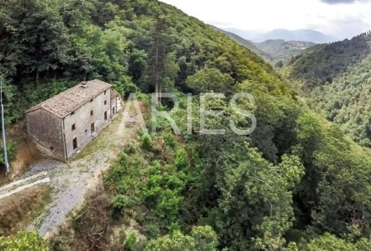 Palazzo - Edificio in vendita a Coreglia Antelminelli