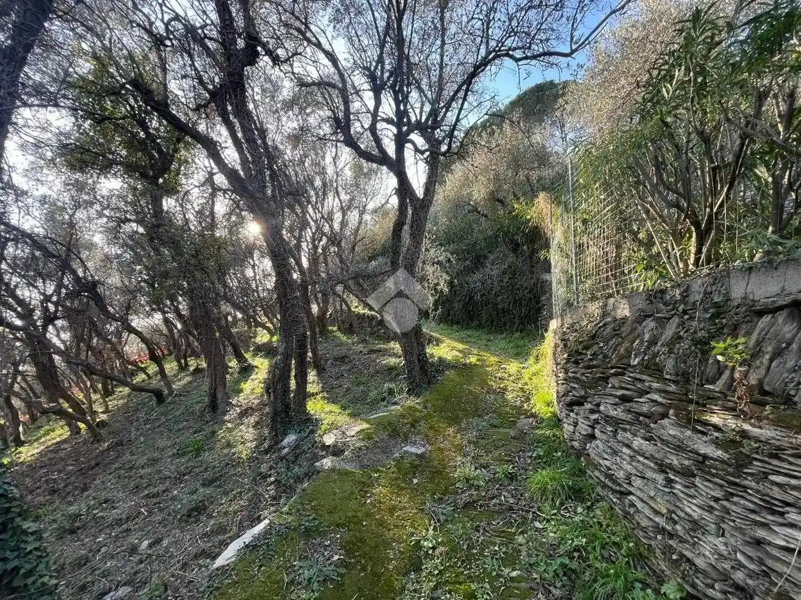 Rustico - Casale in vendita a Lavagna