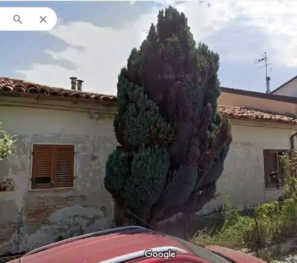 Rustico - Casale in vendita a Fano