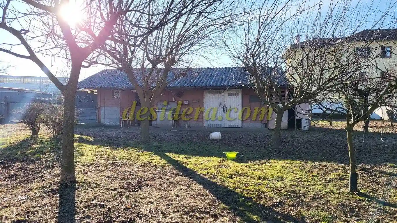 Palazzo - Edificio - foto 5