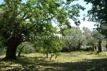 Villa in vendita a Montescudo - Montecolombo