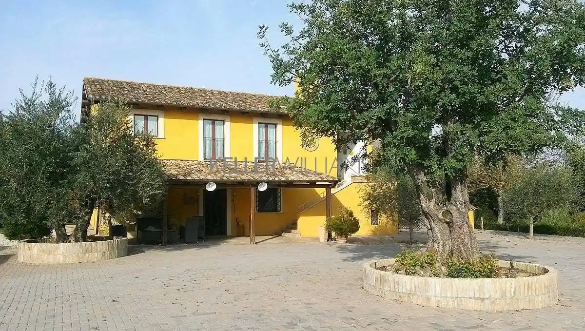 Palazzo - Edificio in Vendita - foto 3