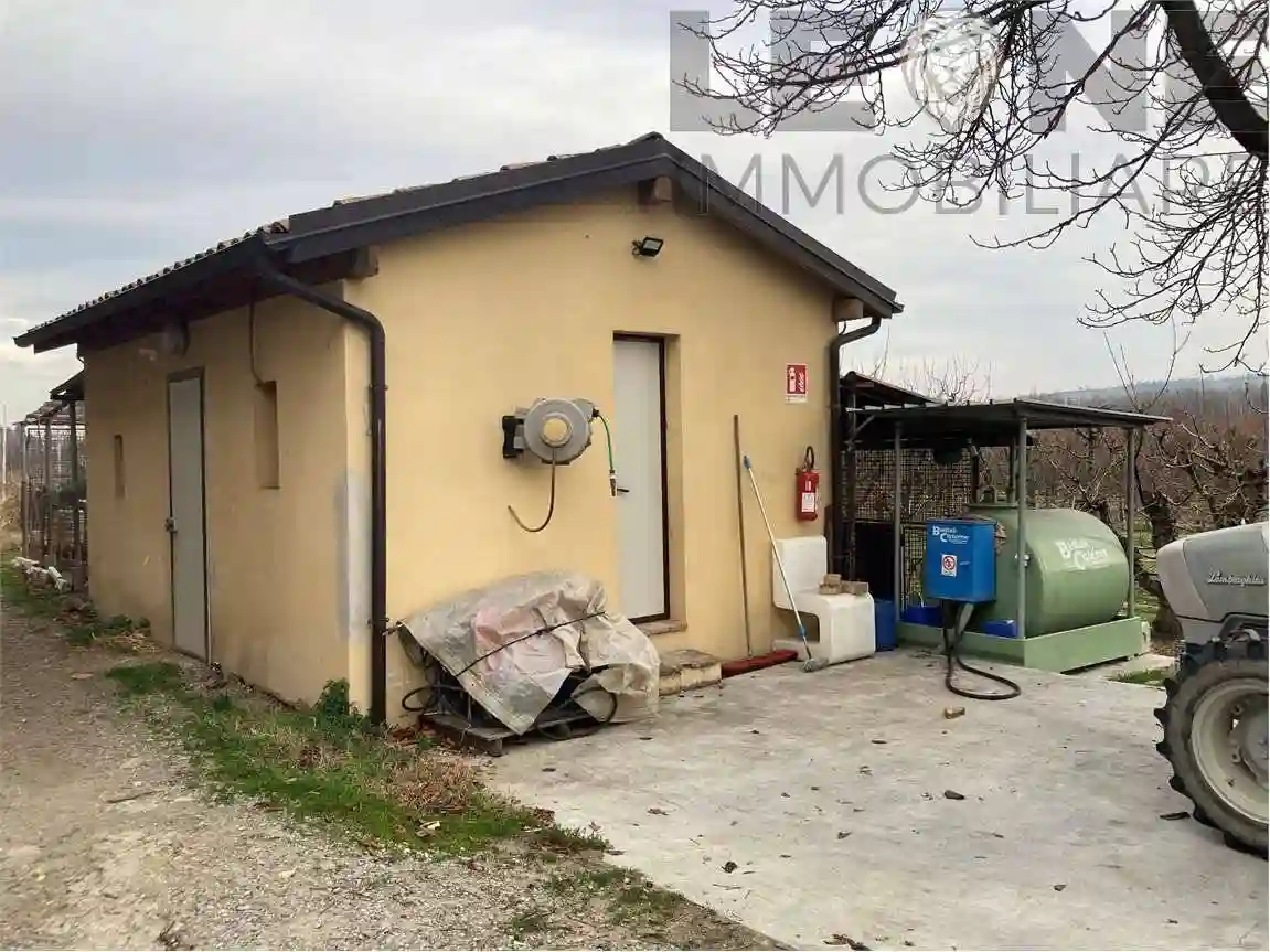 Rustico - Casale - foto 5