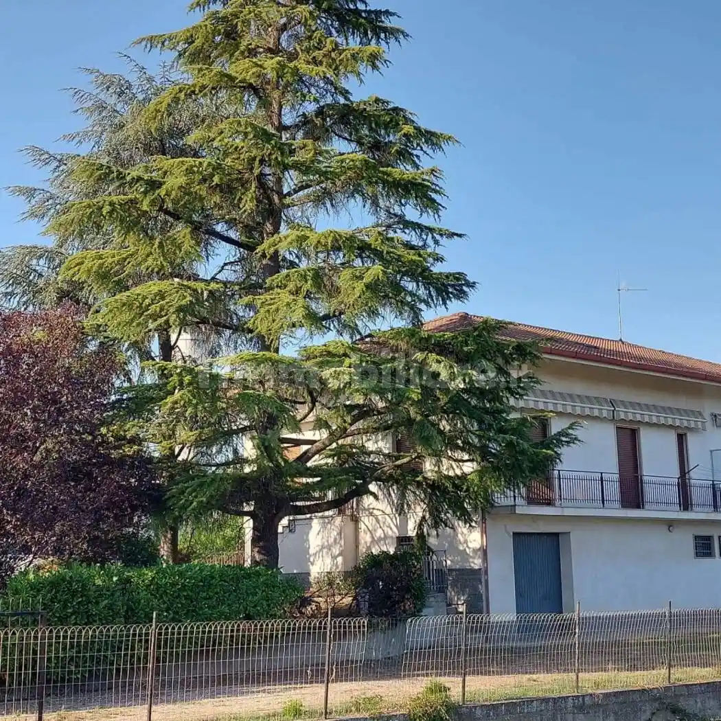 Terratetto unifamiliare via Alessandria 8, Carentino - foto 5