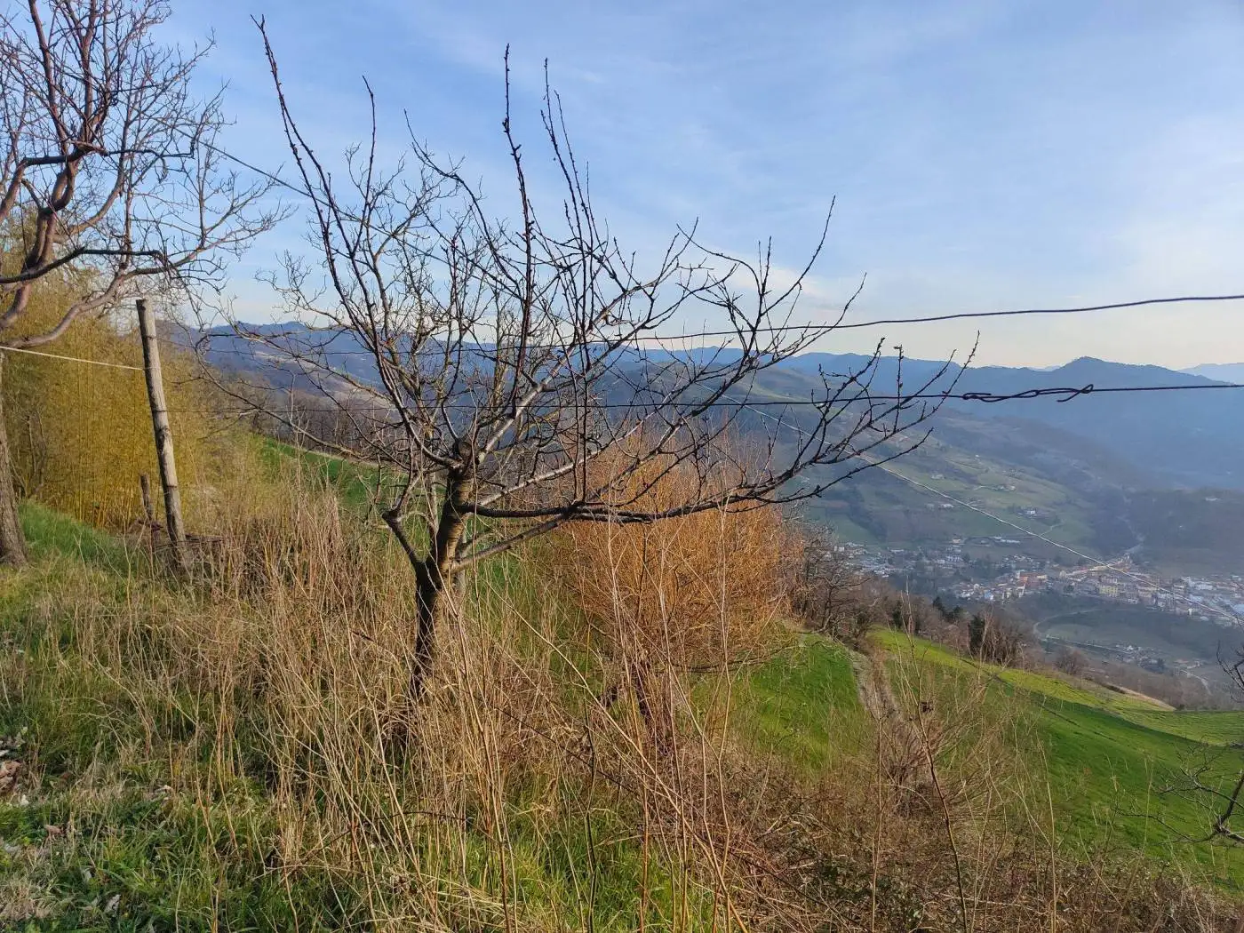 Rustico - Casale in vendita a Civitella di Romagna