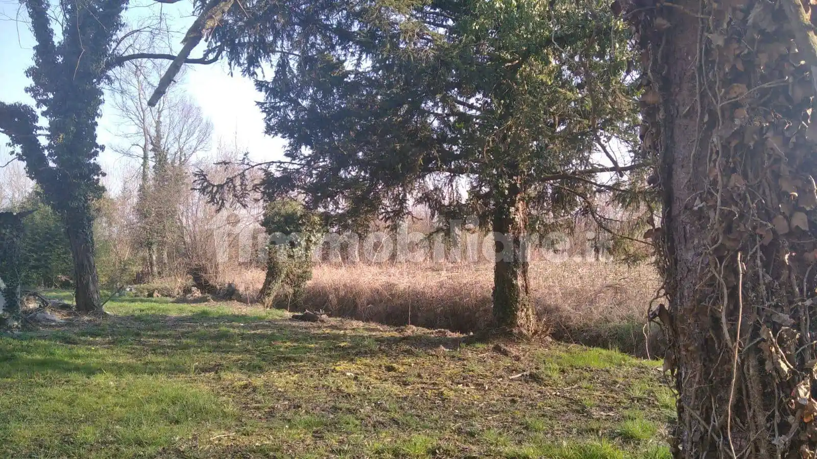 Rustico - Casale in vendita a Zero Branco