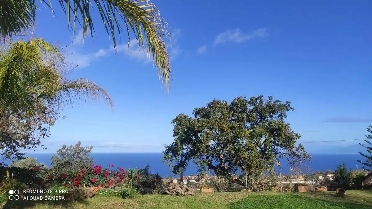 Villa in vendita a Briatico
