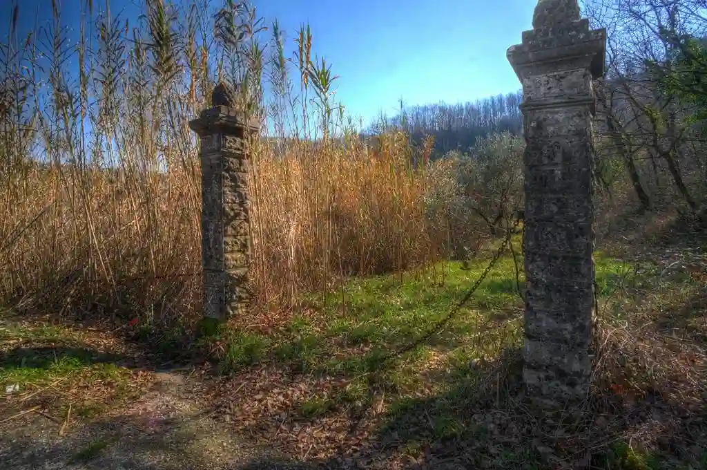 Rustico - Casale - foto 5