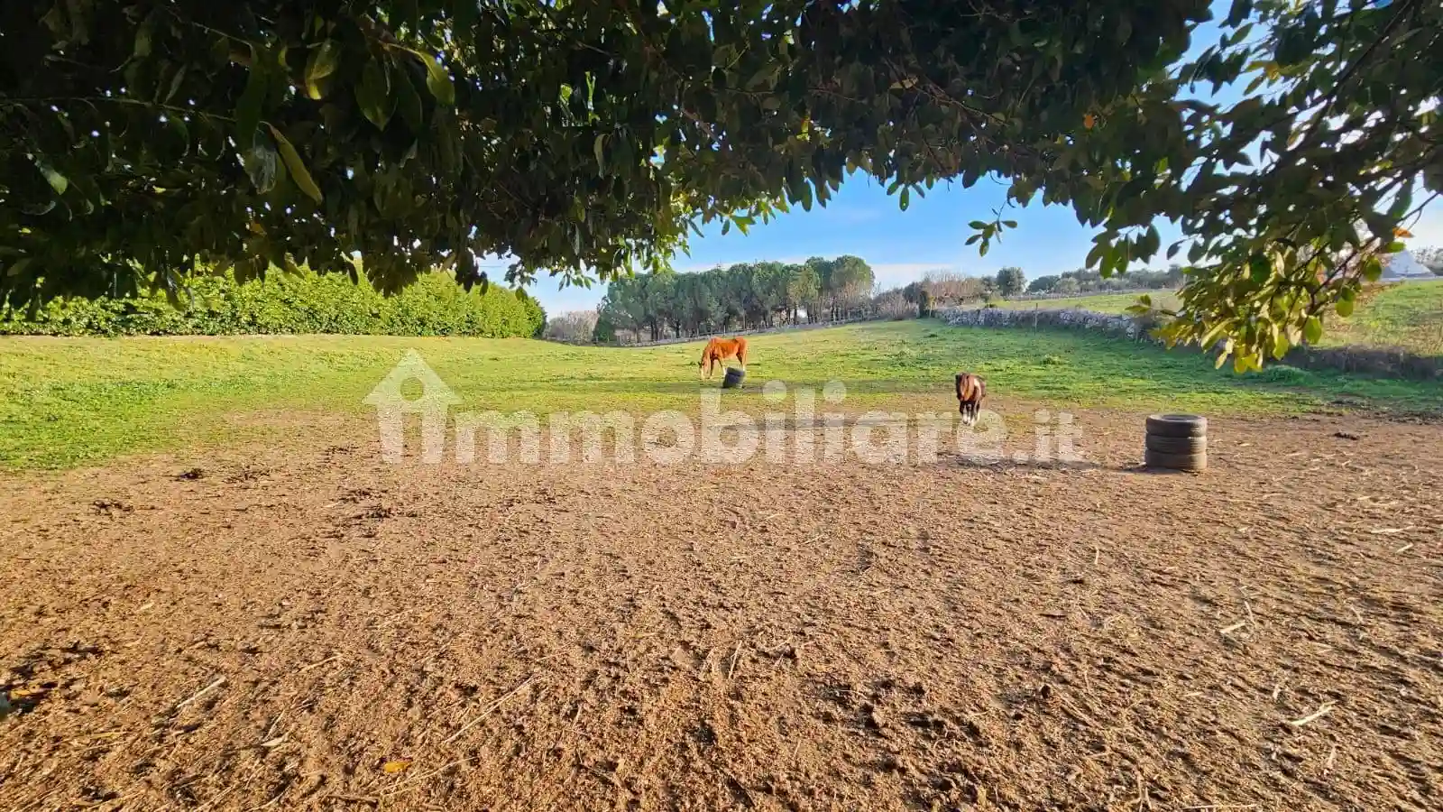 Rustico - Casale - foto 3
