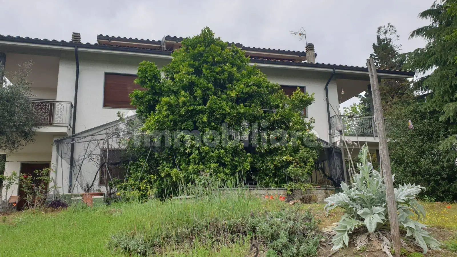 Rustico frazione Torrazza, Cinzano - foto 5