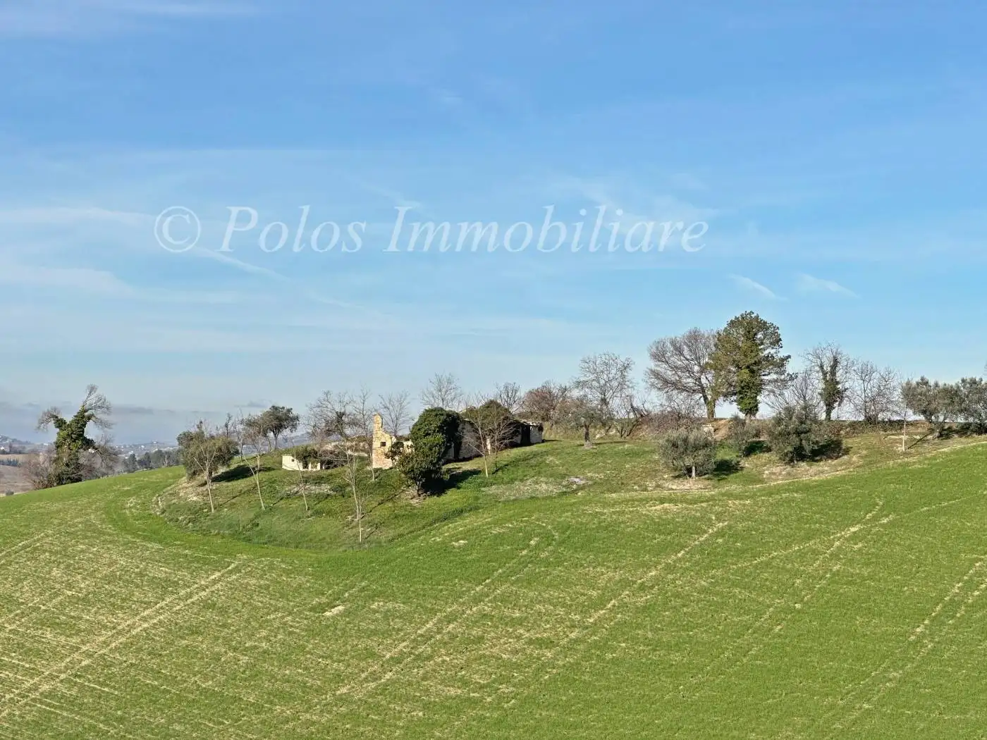 Rustico - Casale in vendita a Monte Giberto